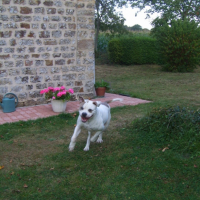 Photo #198243 de Arés