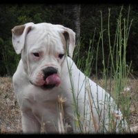 Photo #198279 de Erwine