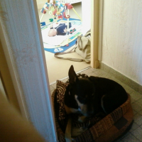 Photo #198294 de Rocky