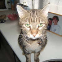 Photo #198409 de Lylou