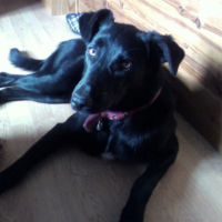 Photo #198556 de Kayliah