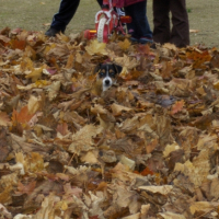Photo #198599 de Daisy