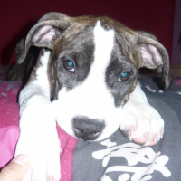 Photo #198631 de Eiki