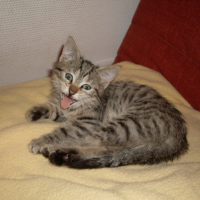 Photo #198696 de Kira