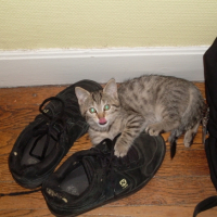 Photo #198699 de Kira