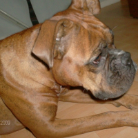 Photo #198767 de Roxane