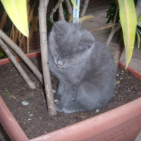 Photo #198836 de Charly