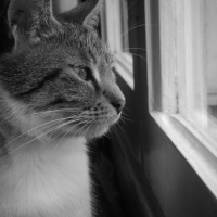 Photo #198852 de Mimine