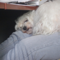 Photo #198916 de Nini