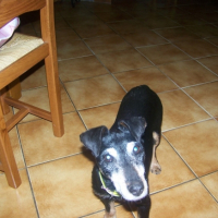 Photo #199094 de Maya