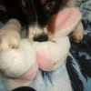 avec son doudou