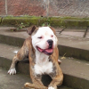 Photo0066
