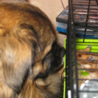 Photo #199428 de Edward