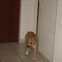 DSC00124