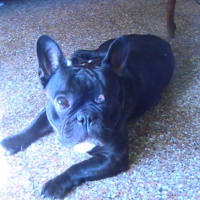 Photo #199503 de Vodka