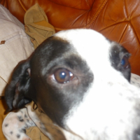 Photo #199522 de Eros