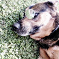 Photo #199526 de Rita