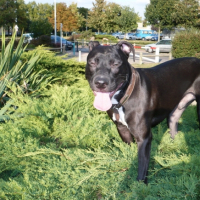 Photo #199527 de Tyzen