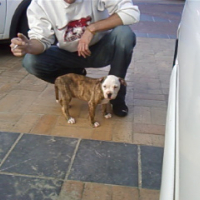 Photo #199529 de Furax