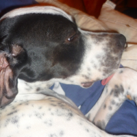 Photo #199535 de Eros