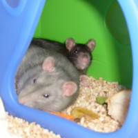 Photo #199611 de Crunch