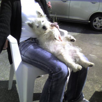 Photo #199614 de Boby