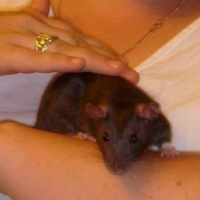 Photo #199620 de Crunch