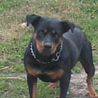 Photo #199663 de Nikita