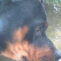 Photo #199665 de Nikita
