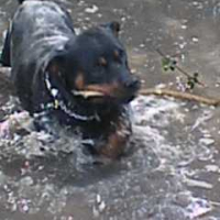 Photo #199667 de Nikita