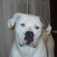 Photo #199722 de Darwin