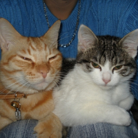 Photo #199731 de Rouky