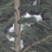 Photo #199765 de Sarko