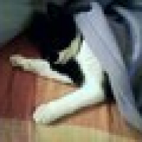 Photo #199768 de Sarko