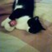 Photo #199769 de Sarko