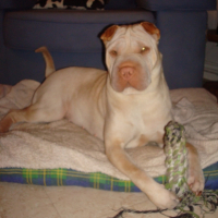 Photo #199820 de Crystal