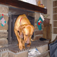 Photo #199822 de Casper