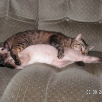 Photo #199824 de Ulysse