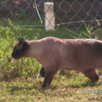 Photo #199853 de Ulysse