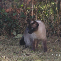 Photo #199855 de Ulysse
