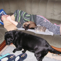 Photo #199861 de Tico