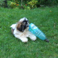 Photo #199866 de Maya