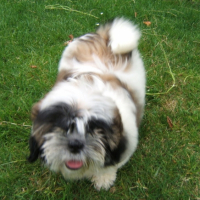 Photo #199869 de Maya