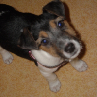 Photo #199883 de Eunisse