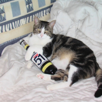 Photo #199898 de Titou