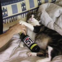 Photo #199901 de Titou