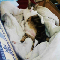Photo #199909 de Titou