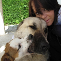 Photo #200052 de Louna