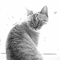 Photo #200062 de Doriane