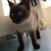 Photo #200130 de Maya